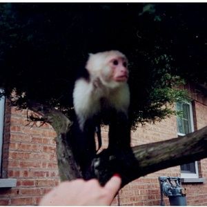 Meet your Posher, Steve